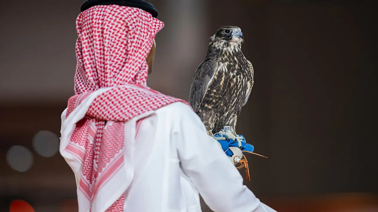 صقران من منغوليا بـ900 ألف ريال في معرض الصقور والصيد السعودي 2025